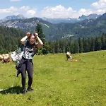 בית נופש Dachstein Goisern באד גויסרן