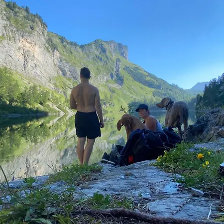 Dachstein Goisern Tatil Evi