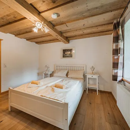 Tatil Evi Dachstein Goisern *