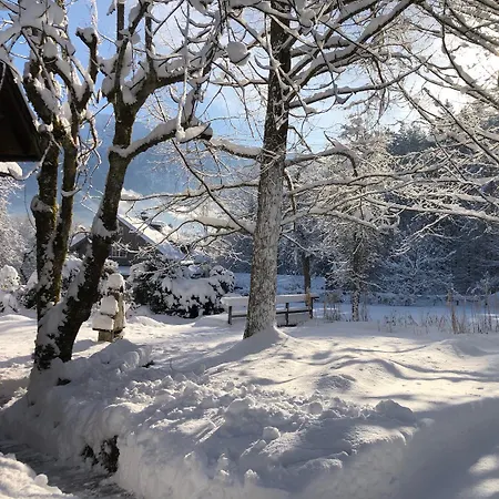 Tatil Evi Dachstein Goisern Bad Goisern