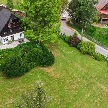 Tatil Evi Dachstein Goisern *