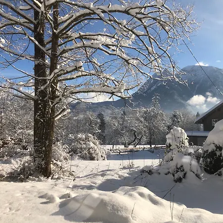 Tatil Evi Dachstein Goisern