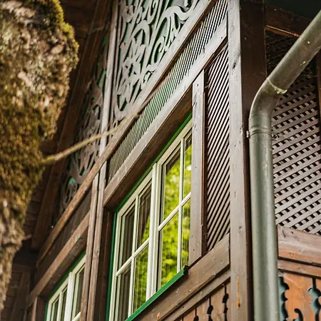 Dachstein Goisern Tatil Evi *