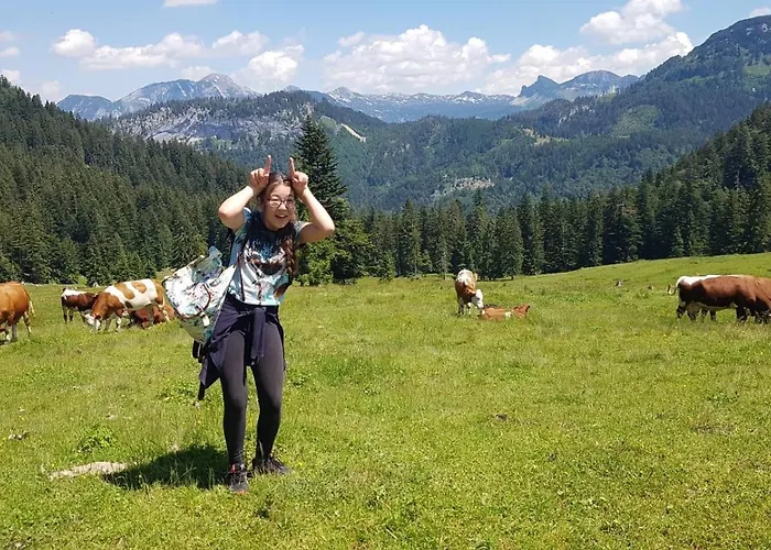 Σπίτι διακοπών Dachstein Goisern Bad Goisern