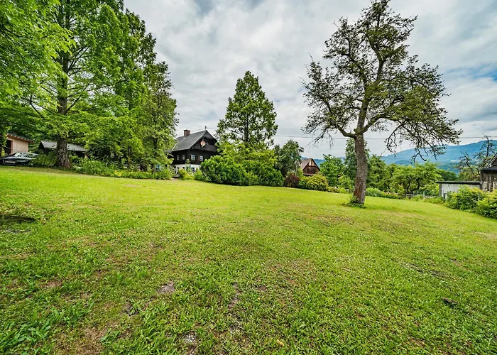 Dachstein Goisern Bad Goisern