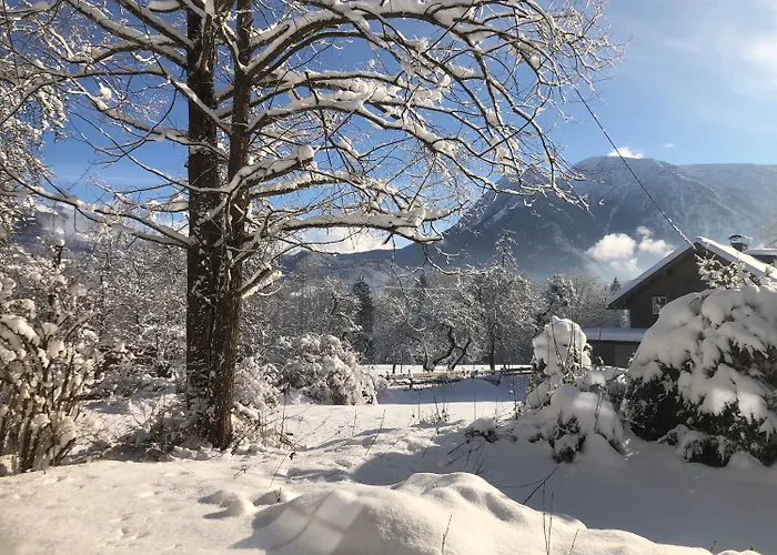 Σπίτι διακοπών Dachstein Goisern