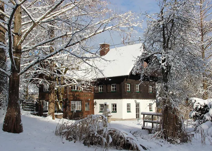 Semesterbostad Dachstein Goisern *