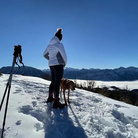 Dachstein Goisern *